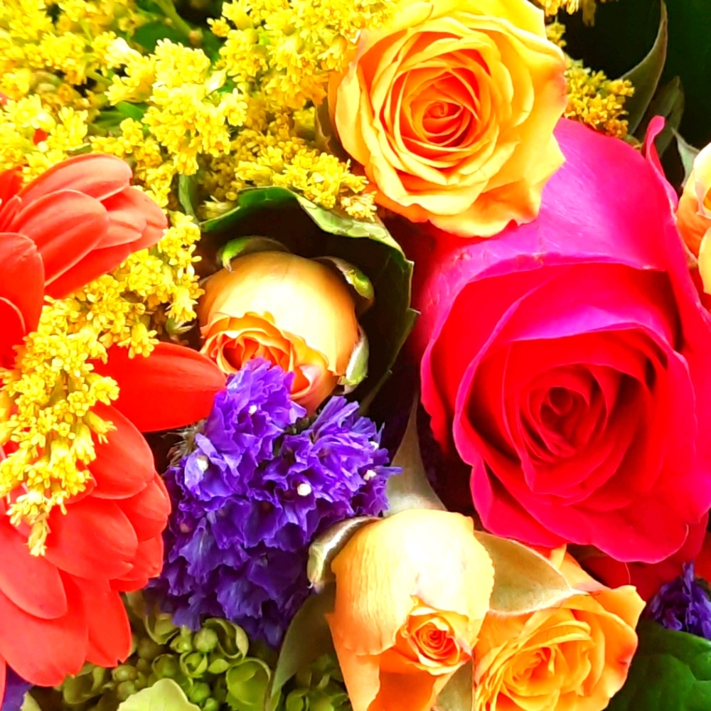 MID SIZE FASHION COMING SOON!